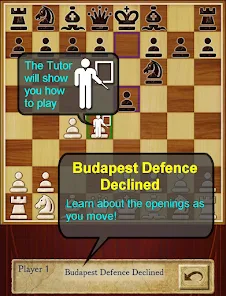 Tutor hints and learning prompts